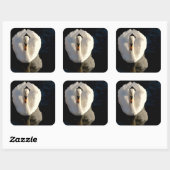 Schwan Quadratischer Aufkleber (Blatt)