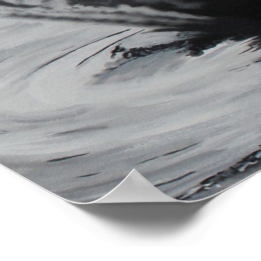 Schwan (rechte Seite) Poster (Ecke)