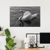 Schwan. Roath Park Lake, Cardiff, Wales B&W Poster (Heimbüro)