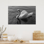 Schwan. Roath Park Lake, Cardiff, Wales B&W Poster (Küche)