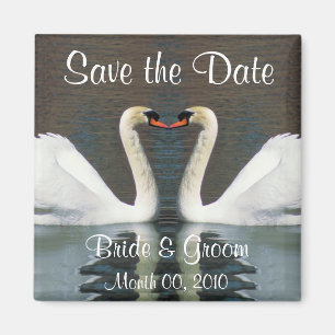 Schwan-Save the Date Magneten Magnet