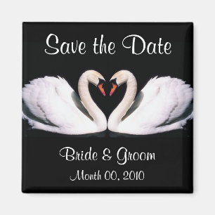 Schwan-Save the Date Magneten Magnet