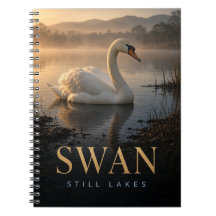 Schwan Stille Seen Wildtier TIER
