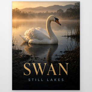 Schwan Stille Seen Wildtier TIER Postkarte