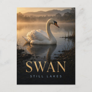 Schwan Stille Seen Wildtier TIER Postkarte