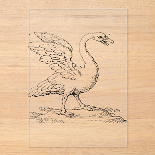 Schwan Symbol der Liebe und Treue Fine Art Acryleinladungen