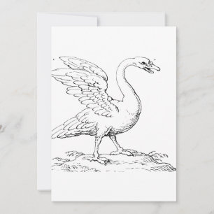 Schwan Symbol der Liebe und Treue Fine Art Einladung