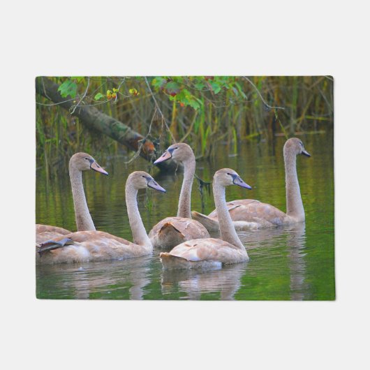 Schwan-Tür-Matte Fußmatte (Vorderseite)