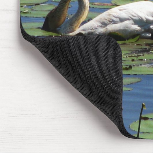 Schwan-u. Cygnets-Füttern Mousepad (Ecke)