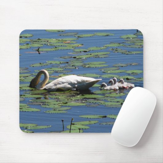Schwan-u. Cygnets-Füttern Mousepad (Mit Mouse)