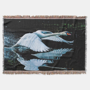 Schwan über Wasser fliegen Decke