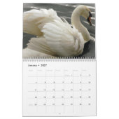 Schwan- und Cygnetskalender Kalender (Jan 2027)
