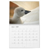Schwan- und Cygnetskalender Kalender (Mär 2027)