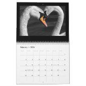 Schwan- und Cygnetskalender Kalender (Feb 2026)
