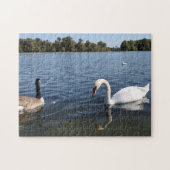 Schwan- und Entenschwimmen | The Royal Park London Puzzle (Horizontal)