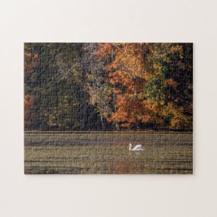 Schwan und Fall Foliage Puzzle