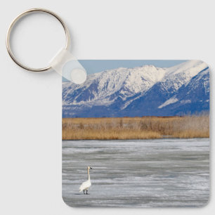 Schwan und Schnee Schlüsselanhänger