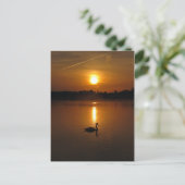 Schwan und Sonnenuntergang Postkarte (Stehend Vorderseite)