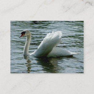 Schwan Visitenkarte