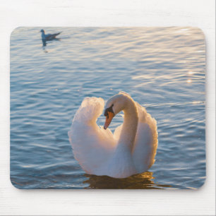 Schwan, Vogel, Tier Mousepad
