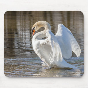 Schwan, Vogel, Tier Mousepad