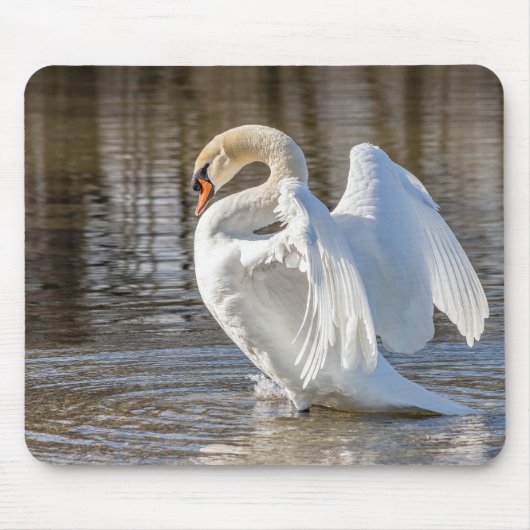 Schwan, Vogel, Tier Mousepad (Vorne)