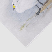 Schwan von Bewick, Abbildung Vögel Seidenpapier (Ausschnitt)