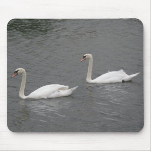 Schwäne am Fluss Mousepad