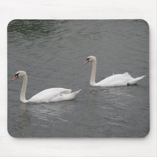 Schwäne am Fluss Mousepad (Vorne)