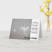 Schwäne am Piniensee Karte (Gelbe Blume)