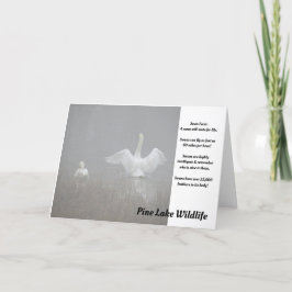 Schwäne am Piniensee Karte