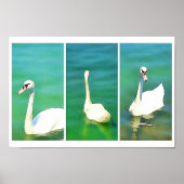 Schwäne am Plattensee - Triptychon Poster (Vorne)