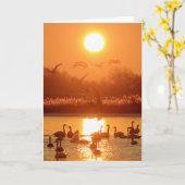 Schwäne am See bei Sonnenuntergang Karte (Gelbe Blume)