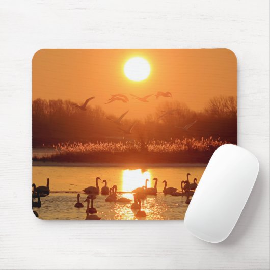 Schwäne am See bei Sonnenuntergang Mousepad (Mit Mouse)