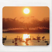 Schwäne am See bei Sonnenuntergang Mousepad (Vorne)