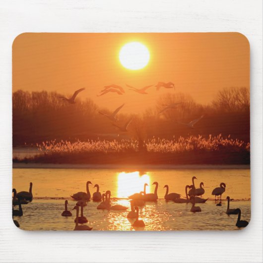 Schwäne am See bei Sonnenuntergang Mousepad (Vorne)