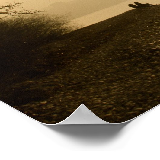 Schwäne am See Poster (Ecke)