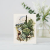 Schwäne am Teich schwimmen Postkarte (Stehend Vorderseite)