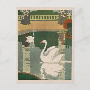Schwäne auf dem Castle Lake Postkarte