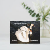 Schwäne bei Sonnenuntergang Postkarte (Stehend Vorderseite)