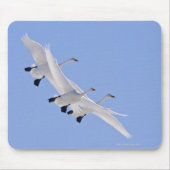 Schwäne fliegen am Himmel Mousepad (Vorne)