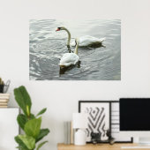 Schwäne Fütterte. Roath Park Lake, Cardiff, Wales Poster (Heimbüro)