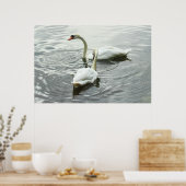 Schwäne Fütterte. Roath Park Lake, Cardiff, Wales Poster (Küche)