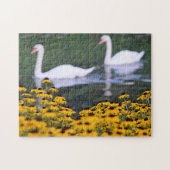 Schwäne im Garten - Puzzle (Horizontal)