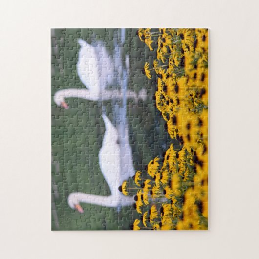 Schwäne im Garten - Puzzle (Vertikal)