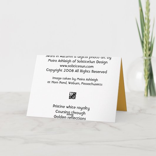 Schwäne im Herbst Karte (Rückseite)