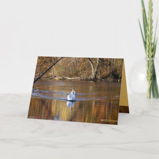 Schwäne im Herbst Karte (Vorderseite)