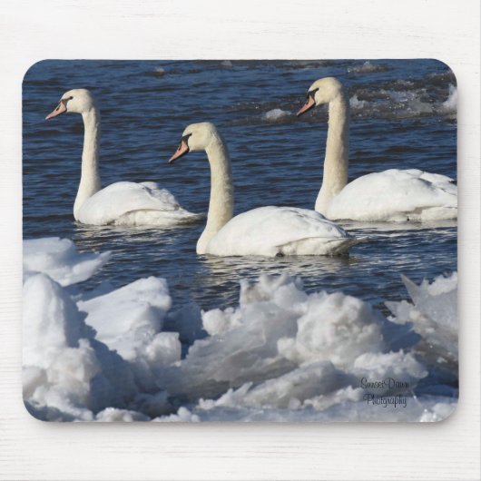 Schwäne im Icey-Fluss Mousepad (Vorne)