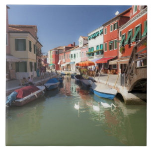 Schwäne im Kanal, Burano-Insel, Venedig, Italien Fliese