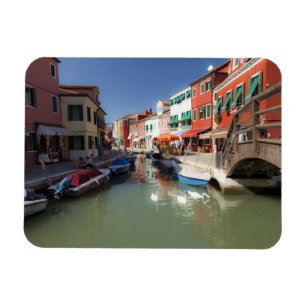 Schwäne im Kanal, Burano-Insel, Venedig, Italien Magnet